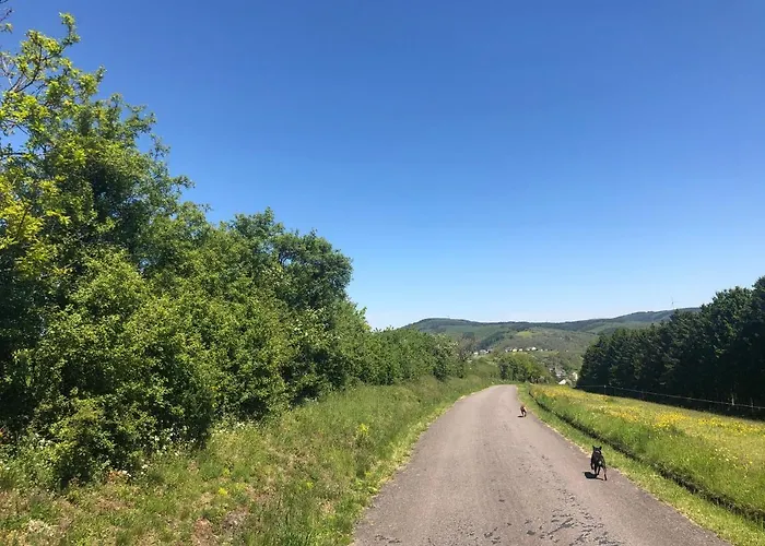 Semesterbostad Ardenne View